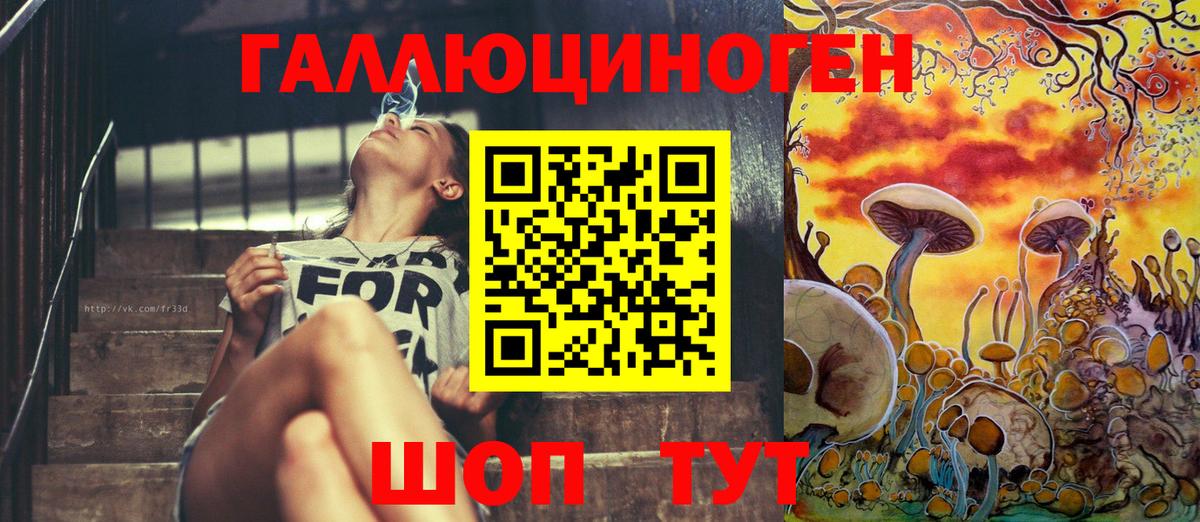 Псилоцибиновые грибы GOLDEN TEACHER Шелехов